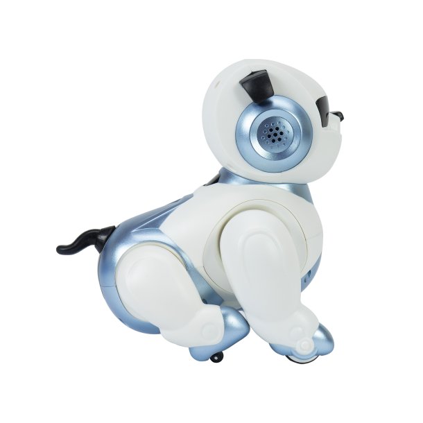 Interactive intelligent robot PNI Robo Dog