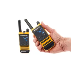 Dynascan P19 Pair of Walkies PMR-446 free use with case